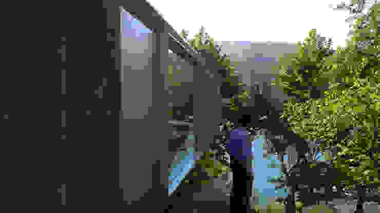 Casa no Gerês Modern houses by CORREIA/RAGAZZI ARQUITECTOS Modern