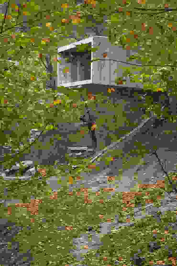 Casa no Gerês Modern houses by CORREIA/RAGAZZI ARQUITECTOS Modern