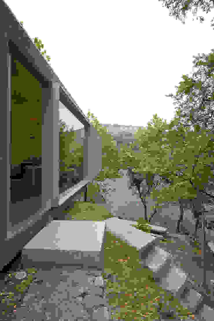 Casa no Gerês Modern houses by CORREIA/RAGAZZI ARQUITECTOS Modern