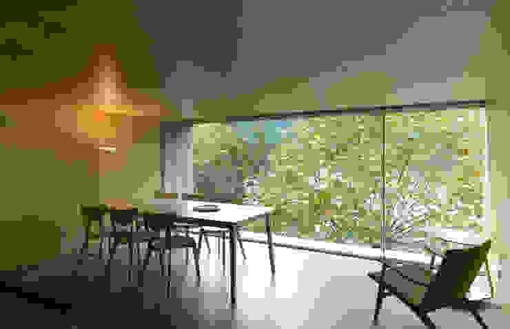 Casa no Gerês Modern windows & doors by CORREIA/RAGAZZI ARQUITECTOS Modern