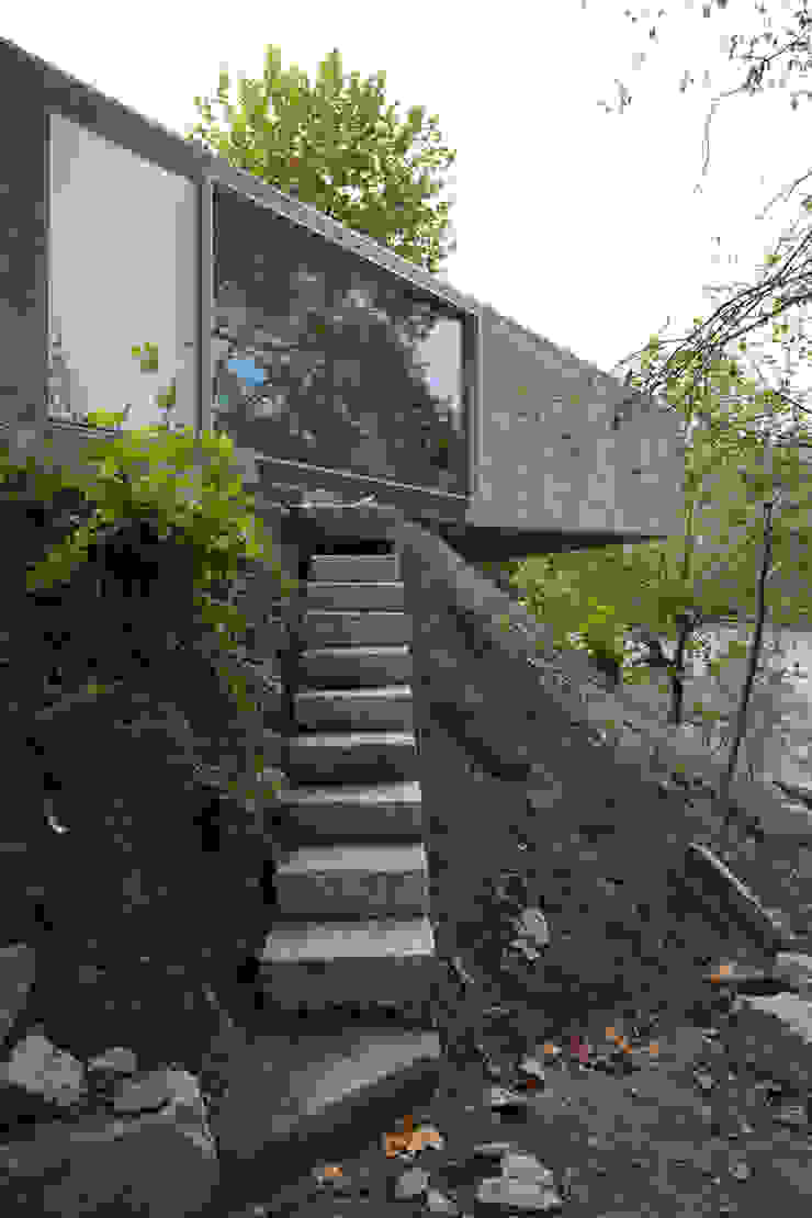 Casa no Gerês Modern houses by CORREIA/RAGAZZI ARQUITECTOS Modern