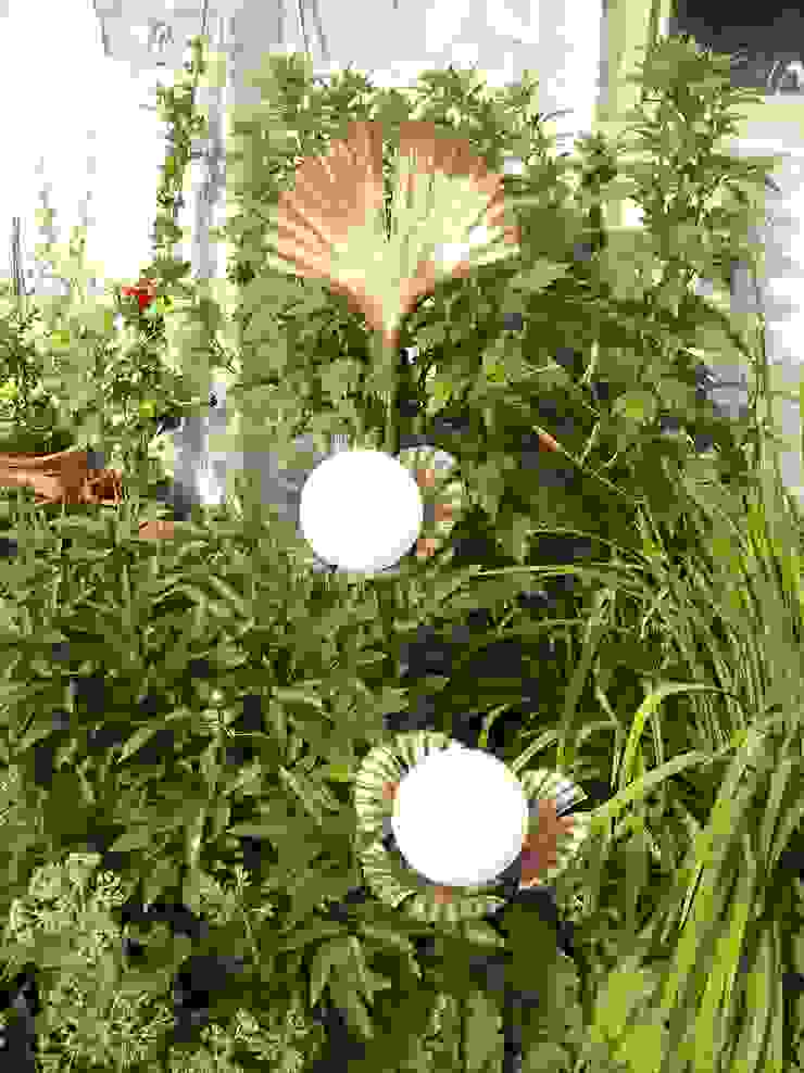 homify Klassischer Garten Beleuchtung
