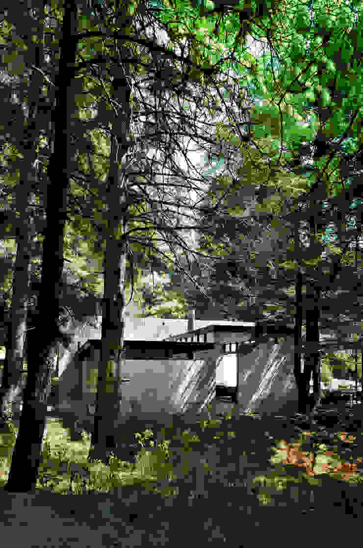 grupoarquitectura 書房/辦公室