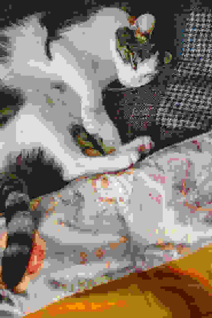 Rufus the cat modelling quilts! Quilts by Lisa Watson Eclectic style bedroom Textiles