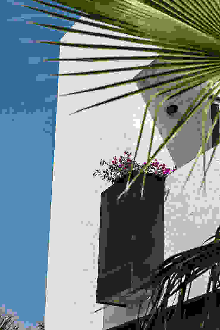 Detalles Fachada ARQUIPLAN Jardines modernos: Ideas, imágenes y decoración