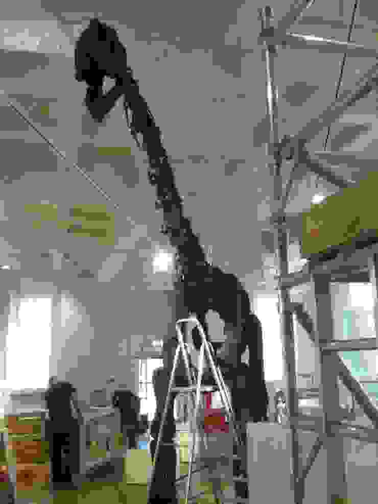 Rutland Dinosaur homify