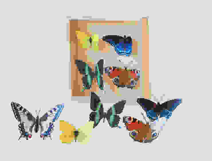 от Paperwolf Эклектичный