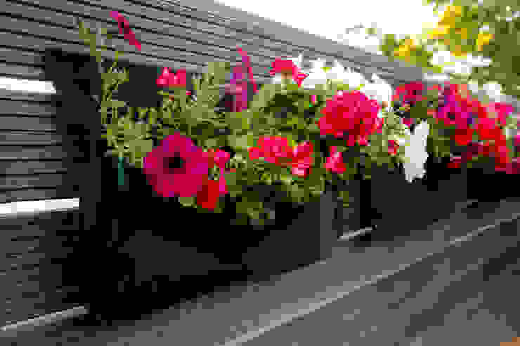 Pflanztasche für vertikale Begrünung DIE BALKONGESTALTER Moderner Balkon, Veranda & Terrasse Pflanzen und Blumen