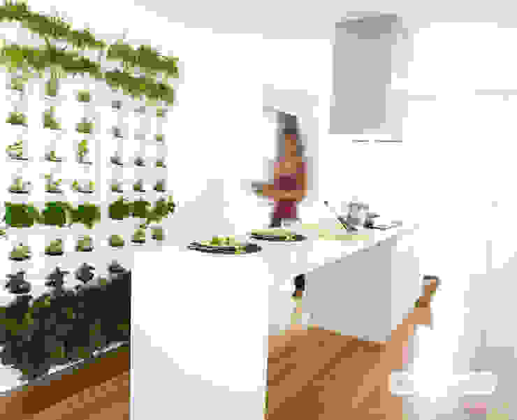 Vertikale Gärten zur Wandbegrünung, Greenbop Greenbop Interior landscaping