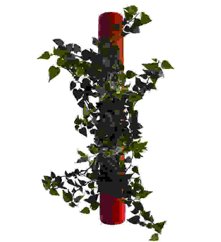 por Greenbop Clássico