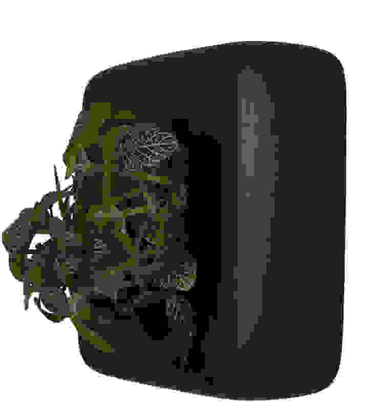 por Greenbop Clássico