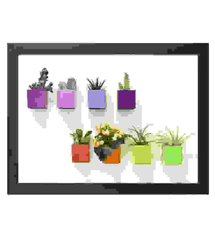 por Greenbop Eclético