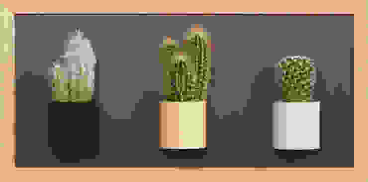 por Greenbop Eclético