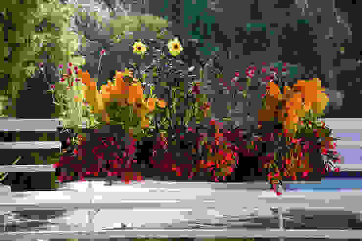 por Greenbop Eclético