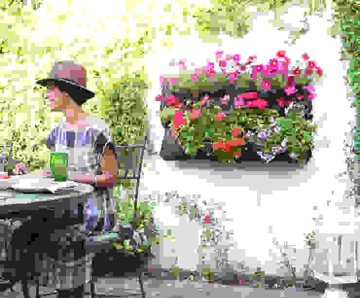 por Greenbop Eclético