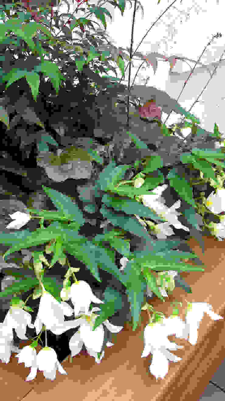 Marylebone Courtyard Fenton Roberts Garden Design Modern Garden