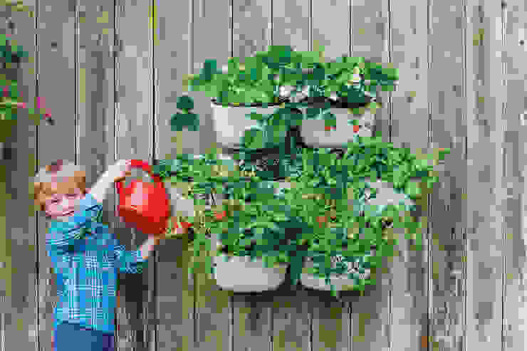 NEW Living Wall Planter, Woolly Pocket Woolly Pocket