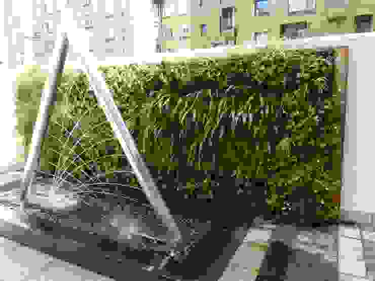 RIBA Roof Terrace Living Wall and Water Feature Biotecture ベランダのデザインアイデア・インスピレーション・写真 植物＆花