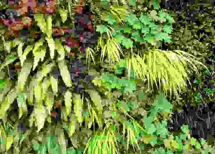 RIBA Roof Terrace Living Wall Close Up by Biotecture