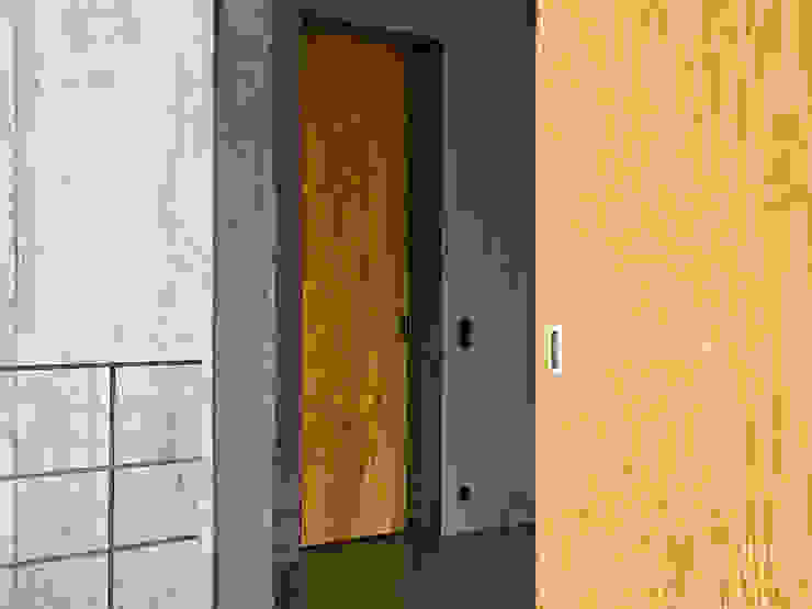 Wohnhaus am Hang, Wyhlen Moderne Fenster & Türen von GIAN SALIS ARCHITEKT Modern