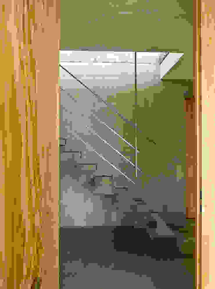 Wohnhaus am Hang, Wyhlen Moderner Flur, Diele & Treppenhaus von GIAN SALIS ARCHITEKT Modern