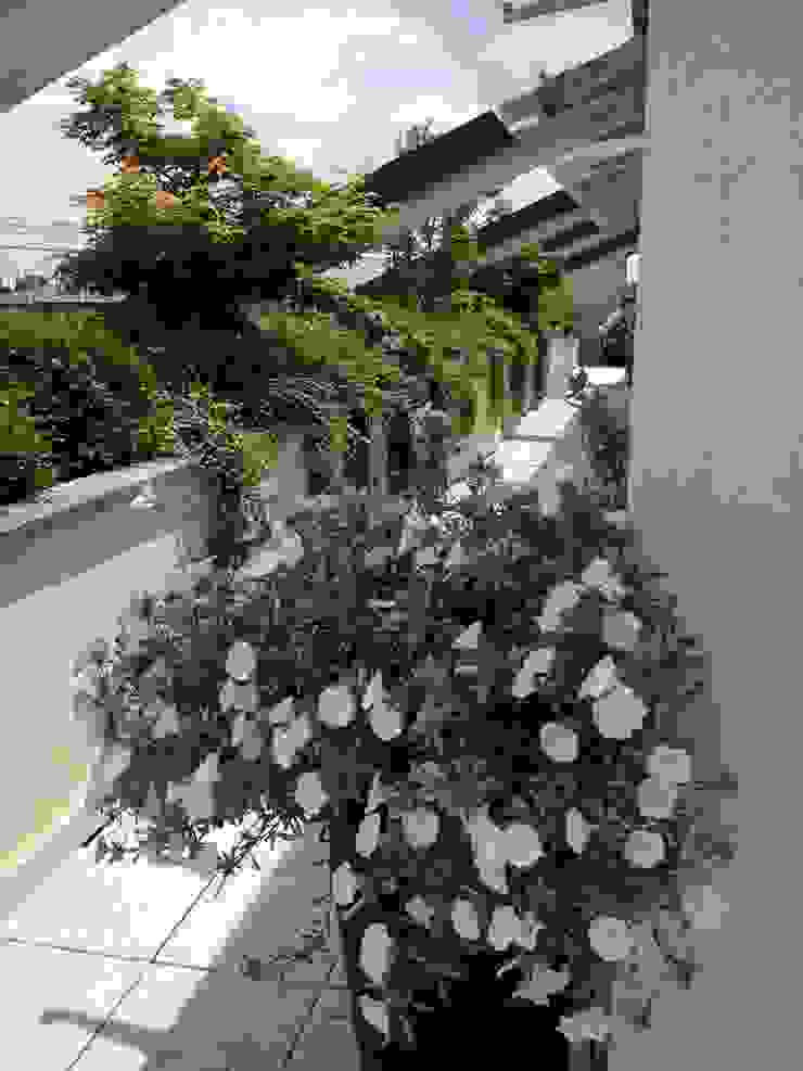 Minimal con brio Architettura del verde Balcone, Veranda & Terrazza in stile moderno