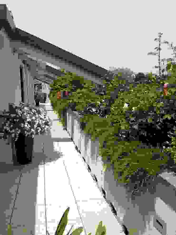 Minimal con brio Architettura del verde Balcone, Veranda & Terrazza in stile moderno