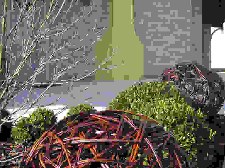 Onde Architettura del verde Giardino moderno