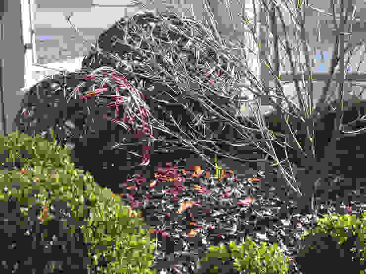 Onde Architettura del verde Giardino moderno