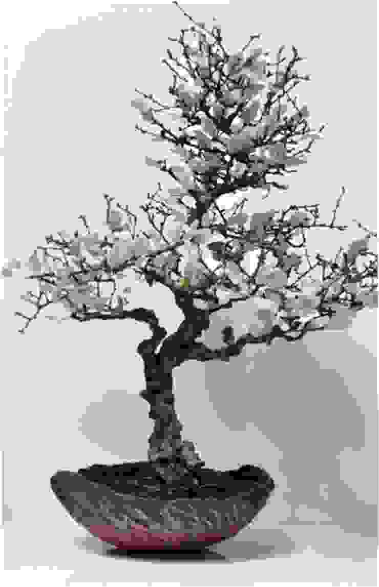 bonsai, petales de porcelaine, coupe raku bbceramic Autres espaces Photos et illustrations