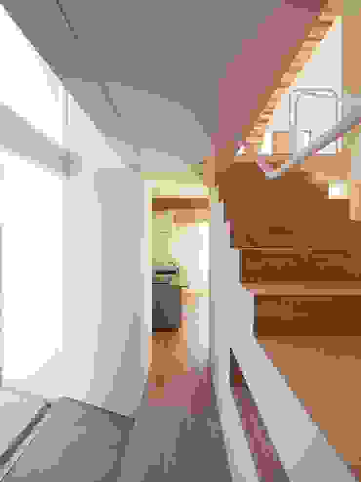 CACCO イシウエヨシヒロ建築設計事務所 YIA Modern corridor, hallway & stairs Wood White