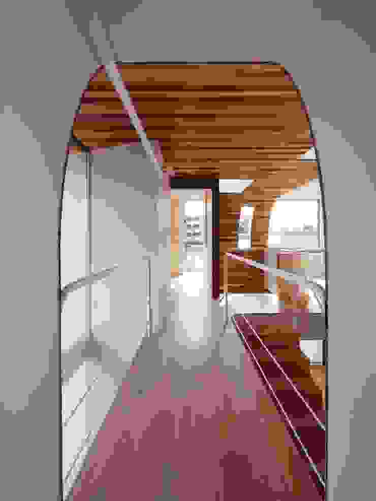 CACCO イシウエヨシヒロ建築設計事務所 YIA Modern corridor, hallway & stairs Wood White