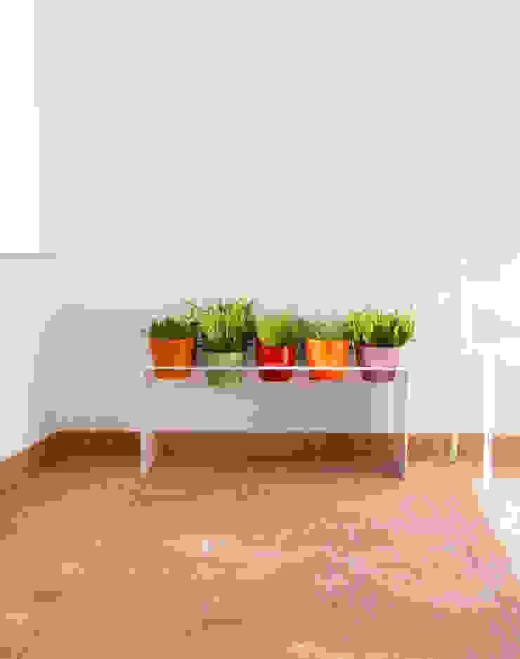 homify Balcony, veranda & terrace Plants & flowers