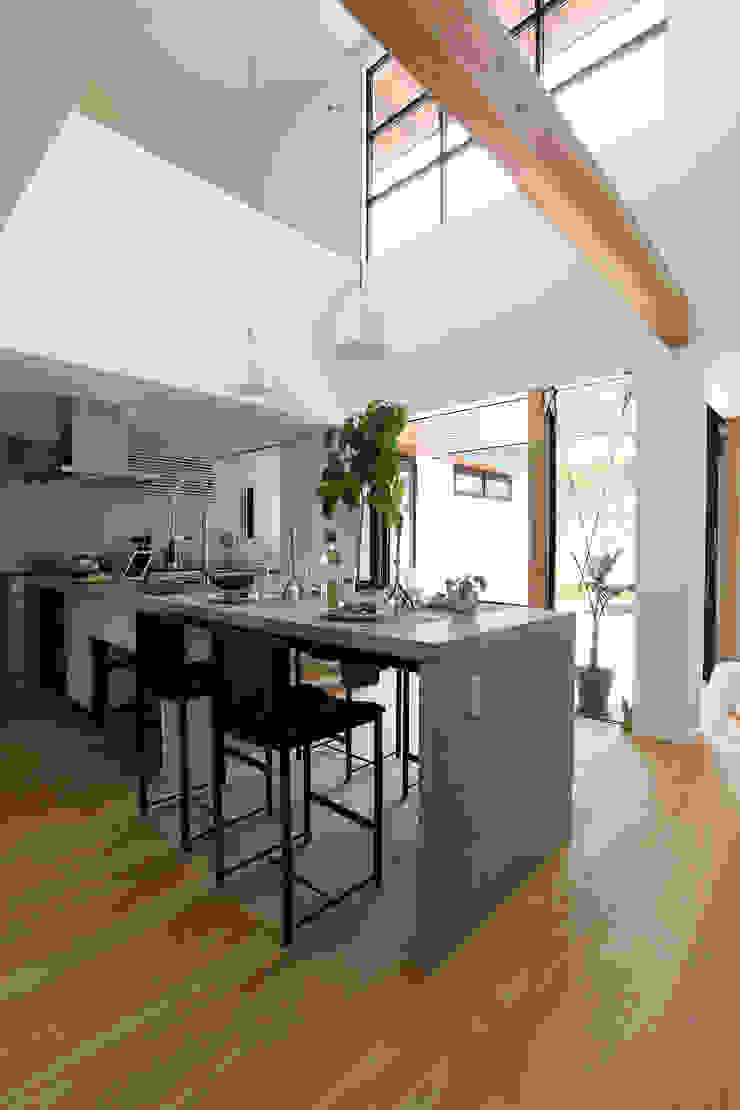 Sakurayama-Architect-Design Modern style kitchen