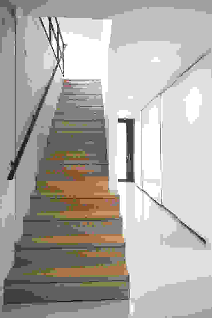 Haus W, THOMAS BEYER ARCHITEKTEN THOMAS BEYER ARCHITEKTEN Moderner Flur, Diele & Treppenhaus