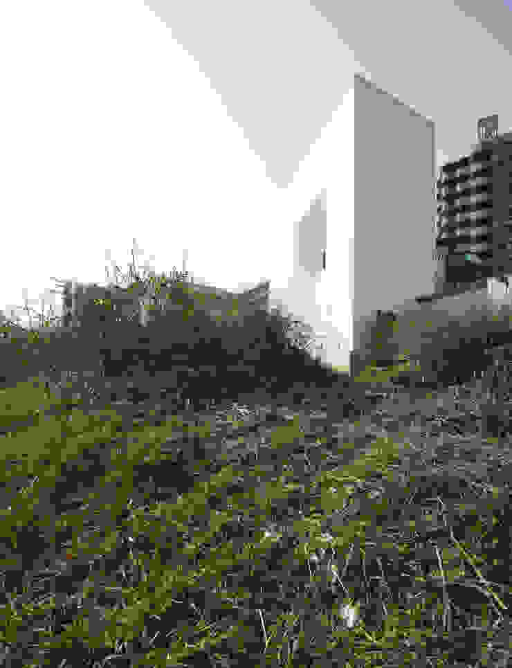 南川祐輝建築事務所 Minimalist house