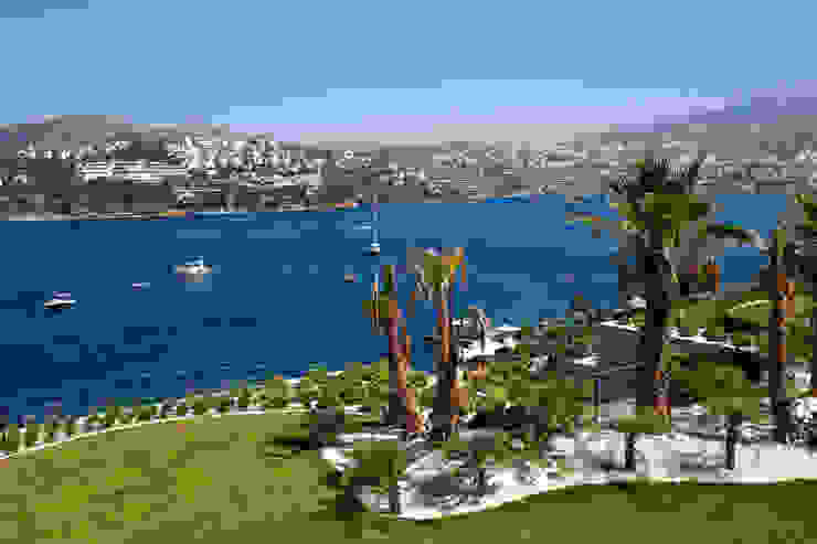 Escapefromsofa Modern style gardens