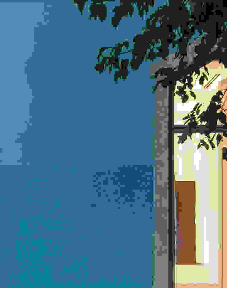 The Three Cusps Chalet Pintu & Jendela Gaya Klasik Oleh Tiago do Vale Arquitectos Klasik