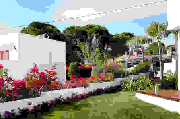 Un jardín con vistas. Diseño de jardín mediterráneo en Alicante, David Jiménez. Arquitectura y paisaje David Jiménez. Arquitectura y paisaje Jardines de estilo clásico