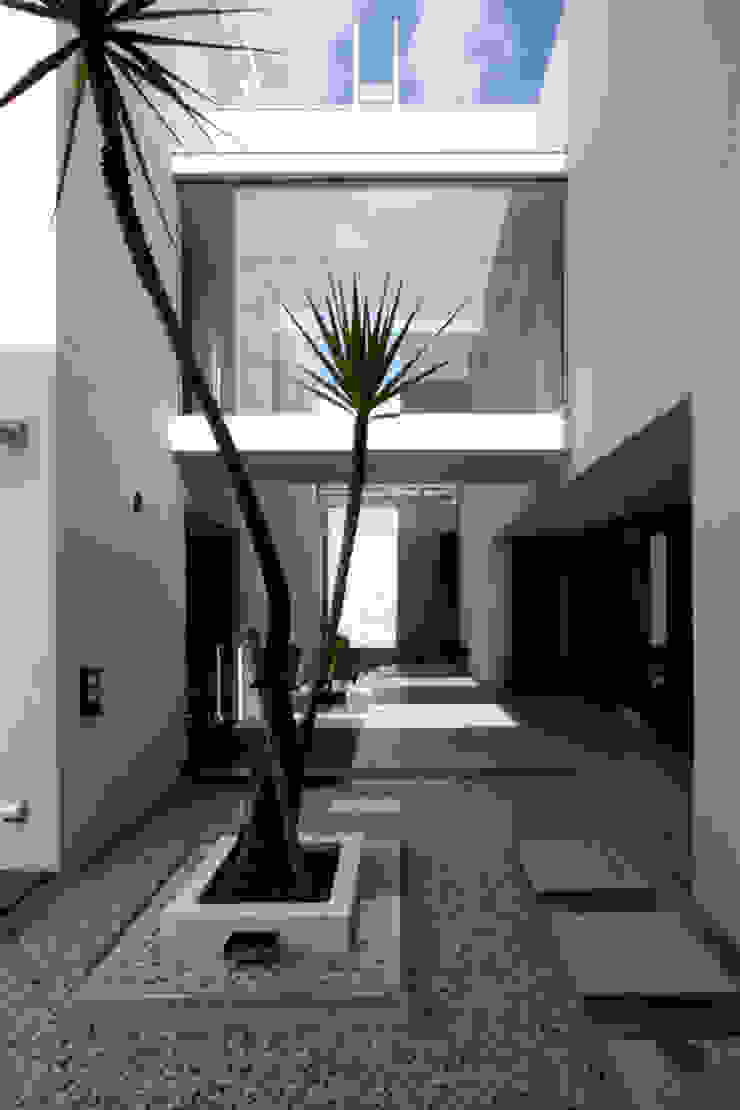 Vase, エスプレックス ESPREX エスプレックス ESPREX Moderner Balkon, Veranda & Terrasse
