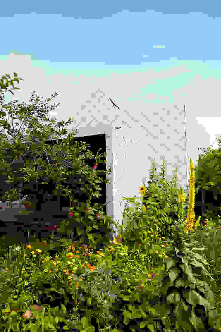 Thoma Holz GmbH Modern Houses