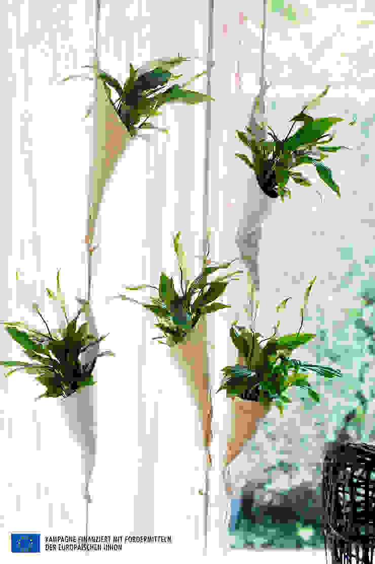 de Pflanzenfreude.de Rural