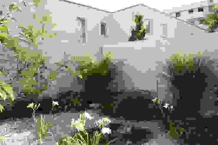 Atriumgarten München Riem, Blumen & Gärten Blumen & Gärten Moderner Garten Pflanze,Eigentum,Fenster,Gebäude,Vegetation,Himmel,Grundstück,Gras,Gelb,Blume