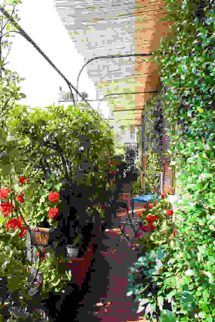 Ristrutturazione appartamento a Milano 80 mq, HBstudio HBstudio Moderner Balkon, Veranda & Terrasse Pflanzen und Blumen
