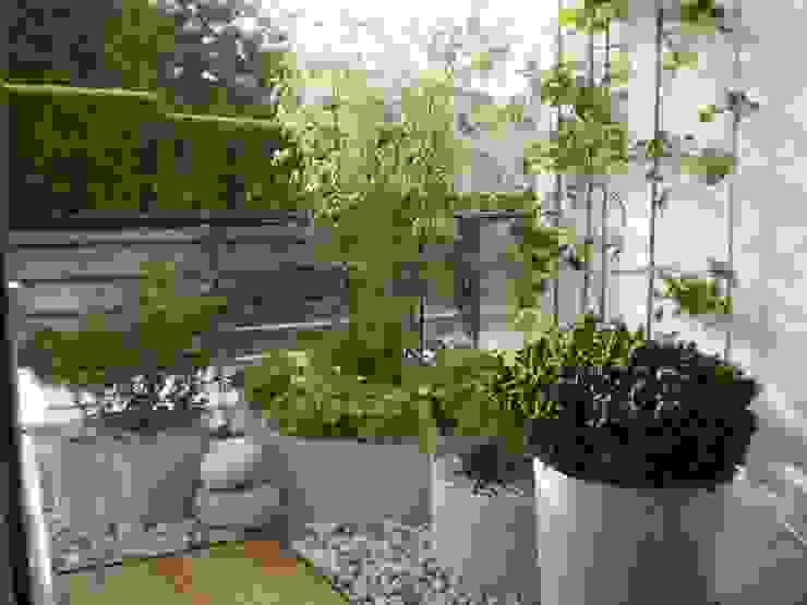 Terrassengestaltung München Blumen & Gärten Klassischer Garten Pflanze,Blumentopf,Botanik,Gras,Zimmerpflanze,Rechteck,Strauch,Immergrün,Bodendecker,Landschaft