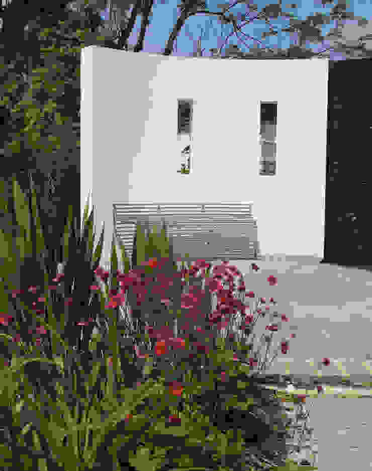 Traditional and Contemporary Mix Cherry Mills Garden Design Giardino moderno