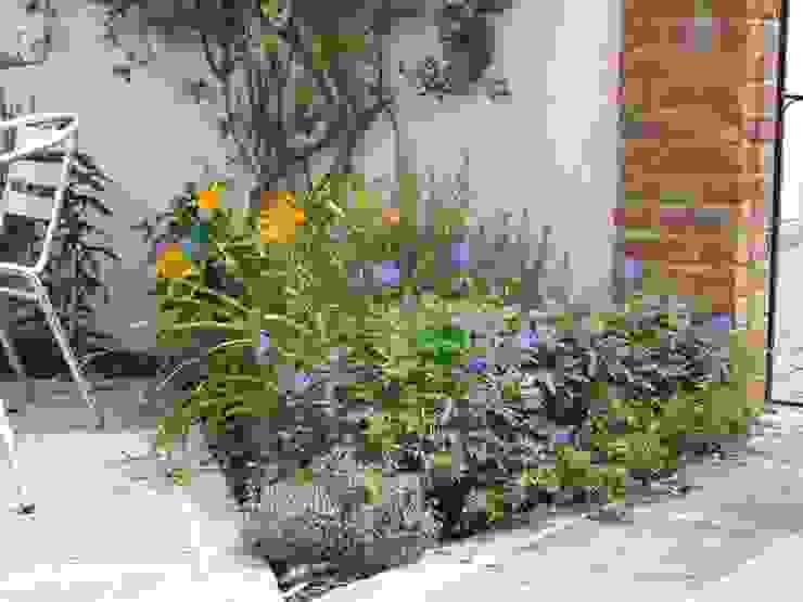 Traditional and Contemporary Mix Cherry Mills Garden Design Giardino moderno