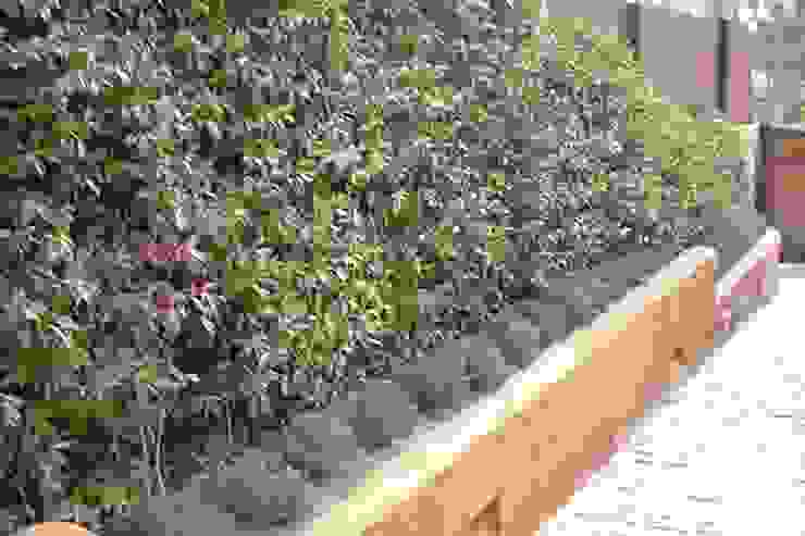 Jardín del Faro (Costa Brava) | homify