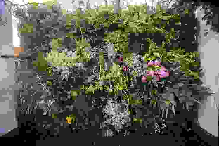 Jardín Vertical/Vertical Garden thesustainableproject Jardines de estilo mediterráneo Flor,Planta,Maceta,Pétalo,Césped,Arbusto,Paisaje,Arreglos florales,Cobertura del suelo,Planta floreciendo