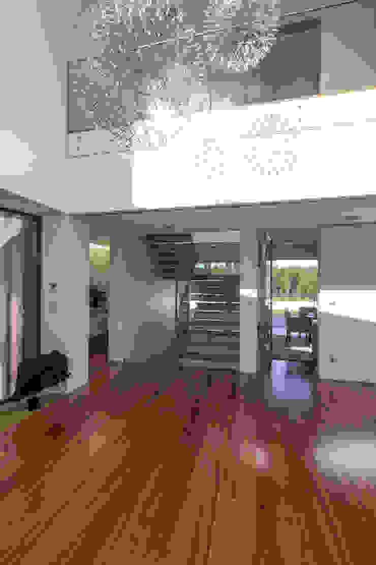 Modern Corridor, Hallway and Staircase by Atelier d'Arquitetura Lopes da Costa Modern